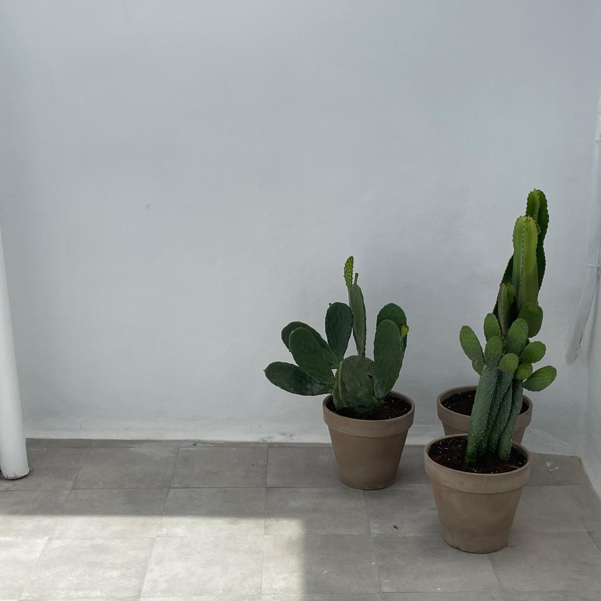 Casa Florinda Tarifa Apartment ภายนอก รูปภาพ